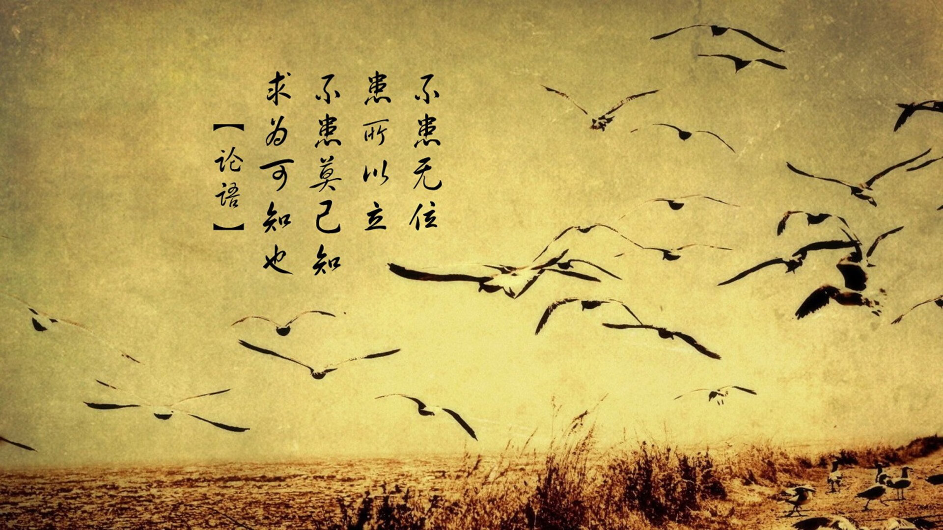 关键比赛前瞻：谁能笑到最后？，关键时刻联赛