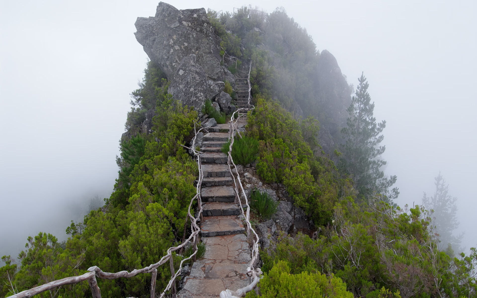 草地高尔夫：绿色迷你运动新潮流，高尔夫草坪和普通草坪的区别