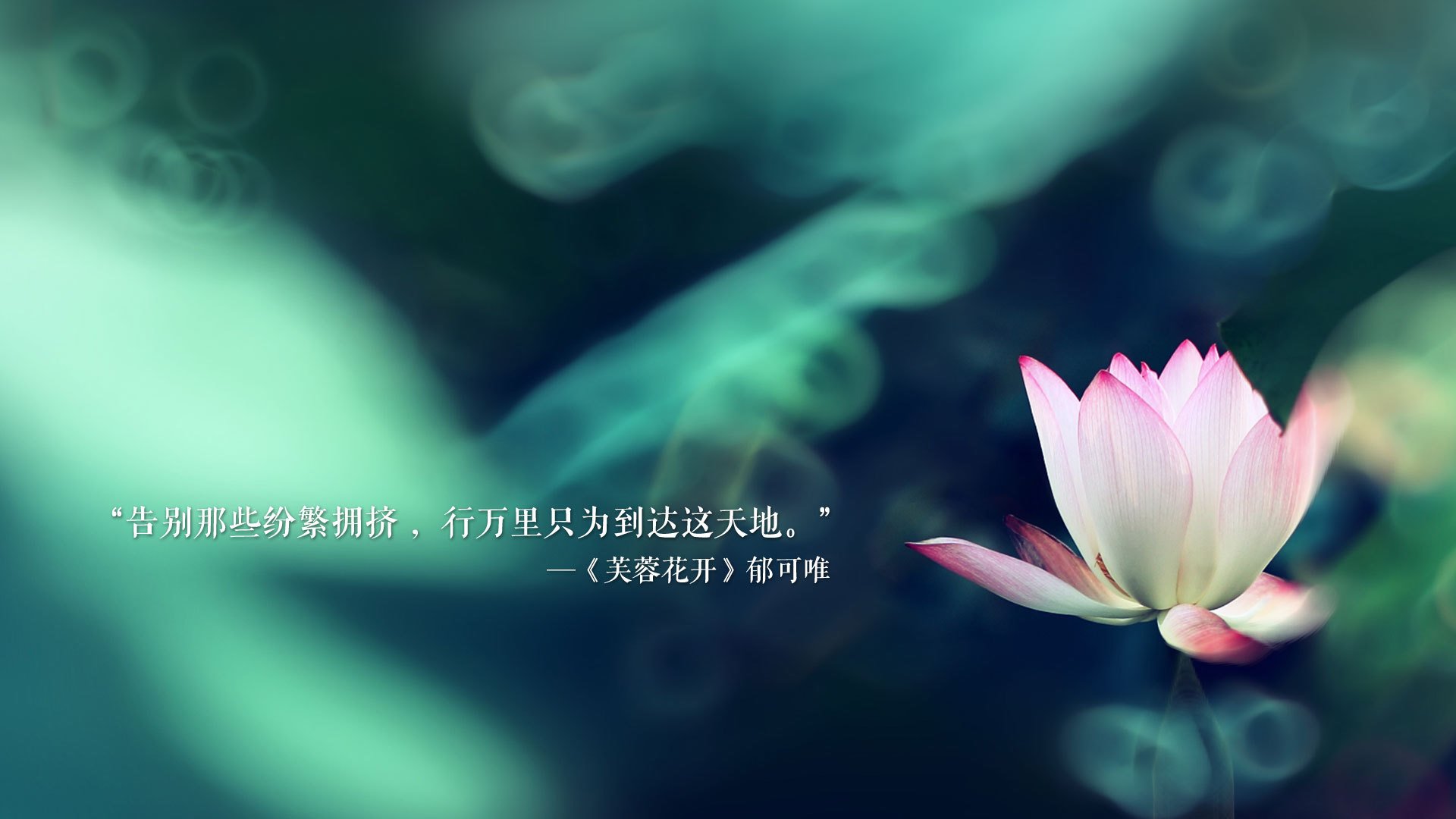 伯恩茅斯险胜保级希望，连胜势头强劲！，伯恩茅斯最新消息